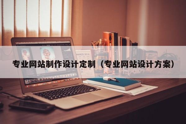 专业网站制作设计定制（专业网站设计方案）-第1张图片-肥特特